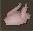 Raw Chicken