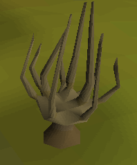 Achey Tree