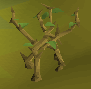Medium Jungle